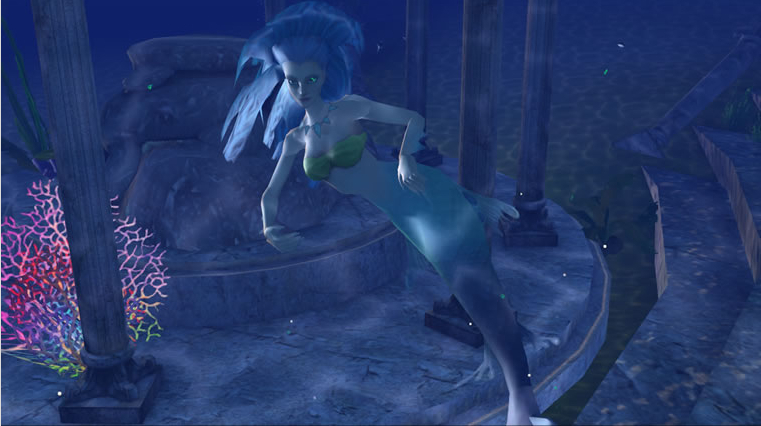 Sealife Safari