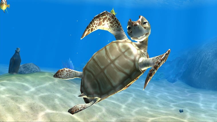 Sealife Safari