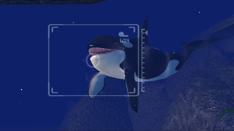 Sealife Safari