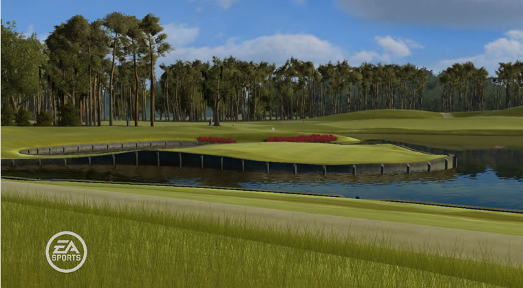 Tiger Woods PGA TOUR 09