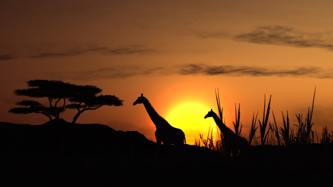 Afrika Eurooppaan ensi vuonna?