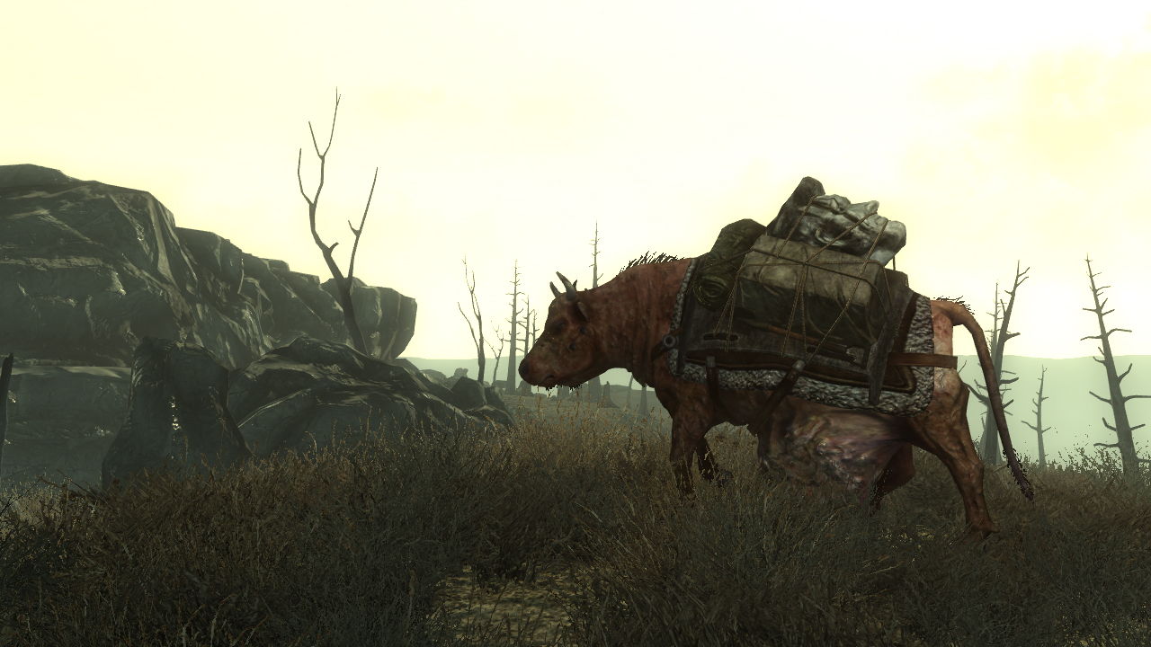Tusina kuvaa Fallout 3:sta