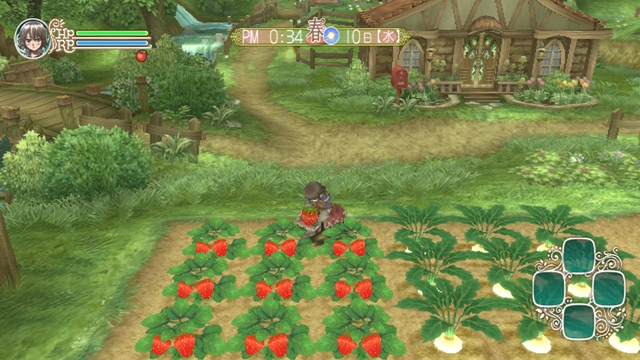 Wiin Rune Factory siirtyy ensi syksyyn