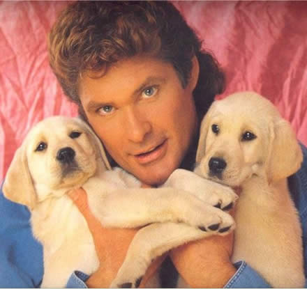 Hasselhoff saa kyytiä myös Wiillä