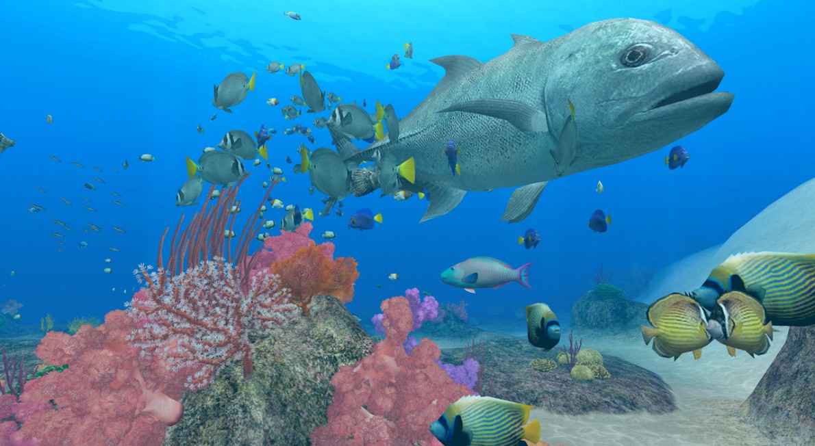 Endless Ocean 2 tukee Wii Speakia
