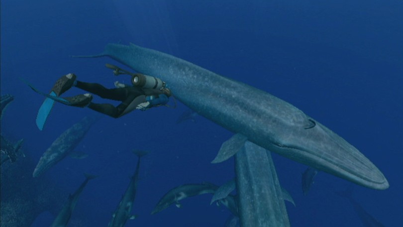 Endless Ocean 2 tukee Wii Speakia