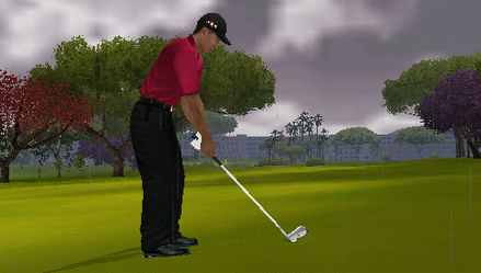 Tiger Woods PGA Tour 10