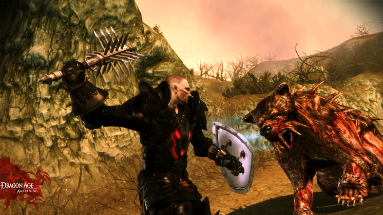 Dragon Age: Origins - Awakening