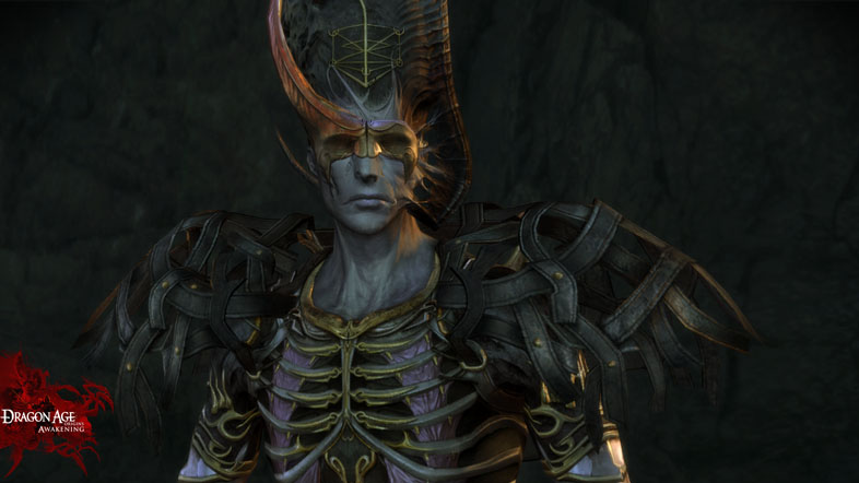 Dragon Age: Origins - Awakening