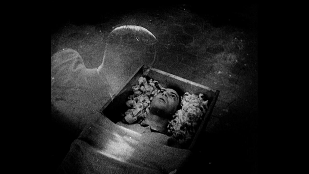 MUBI-leffapalvelu PS3:lle syksyllä