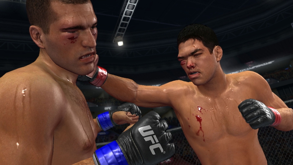 UFC Undisputed 2010