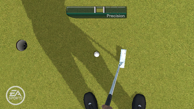 Tiger Woods PGA TOUR 11