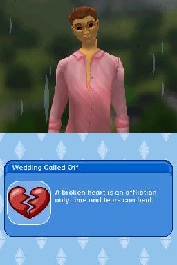 The Sims 3