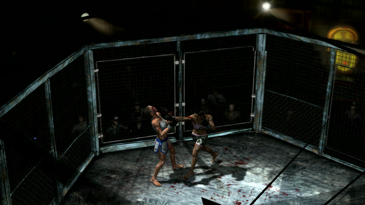 Naisia mukana Supremacy MMA:ssa