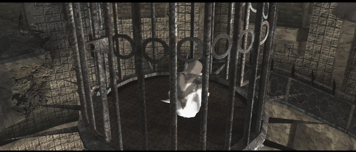 Ico &amp; Shadow of the Colossus