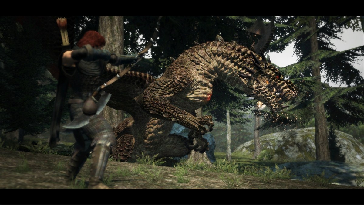 Dragon's Dogma