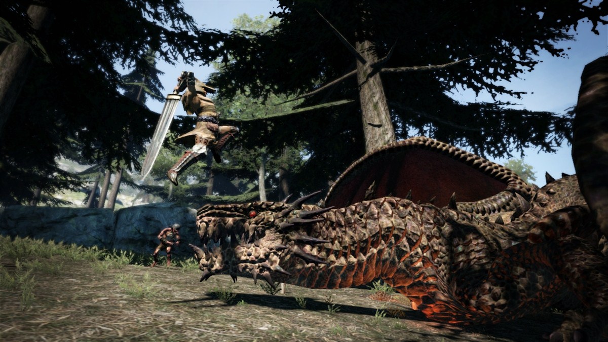 Dragon's Dogma
