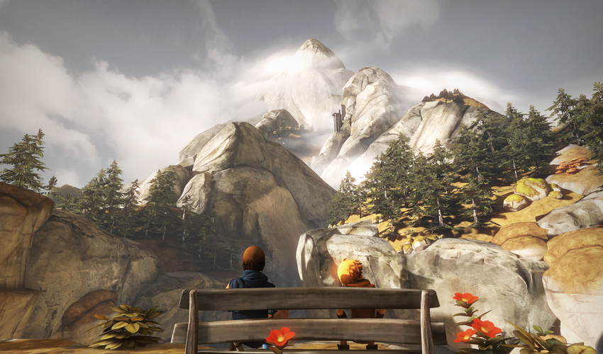 Brothers: a Tale of Two Sons