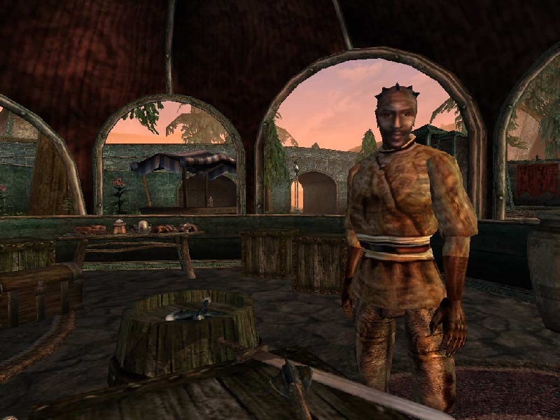 Klassikot katsauksessa: The Elder Scrolls 3: Morrowind (GOTY)