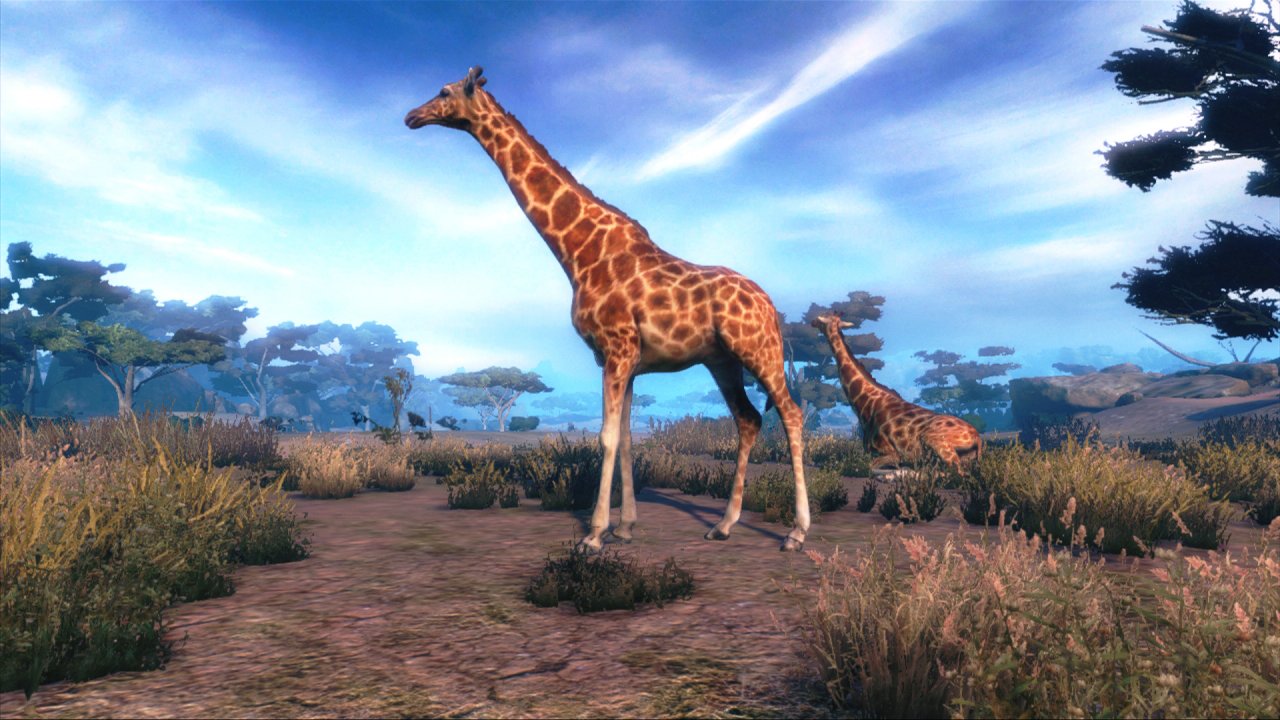 Cabela's African Adventures