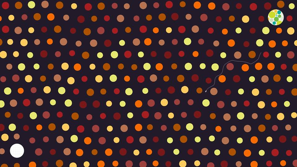 Hohokum