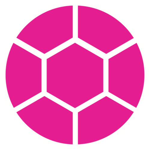 logo_kilpikonna09_pinkki.png