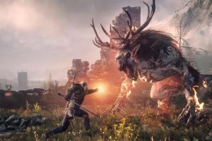 Witcher3f.jpg