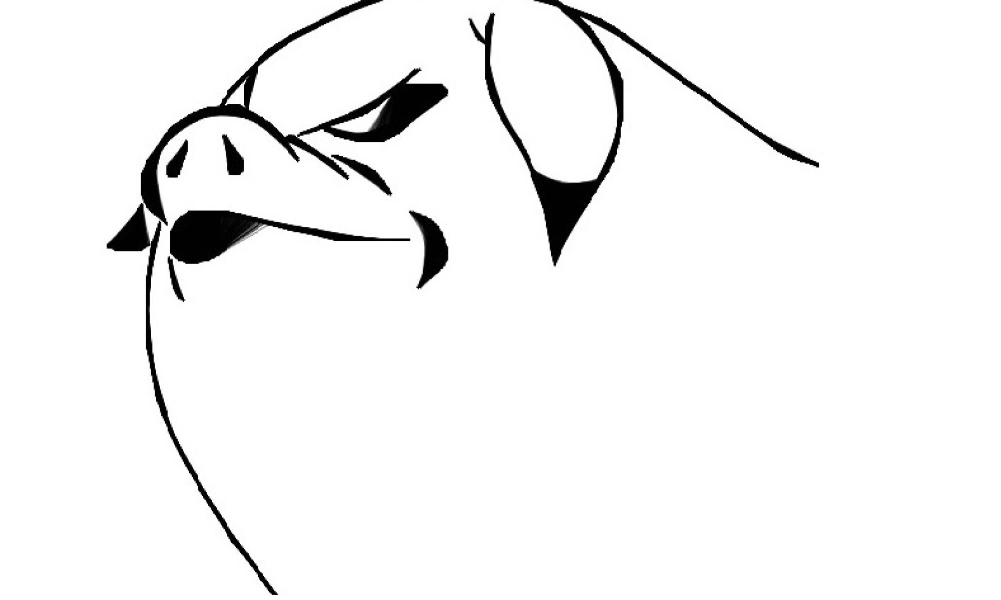 Animal Farm
