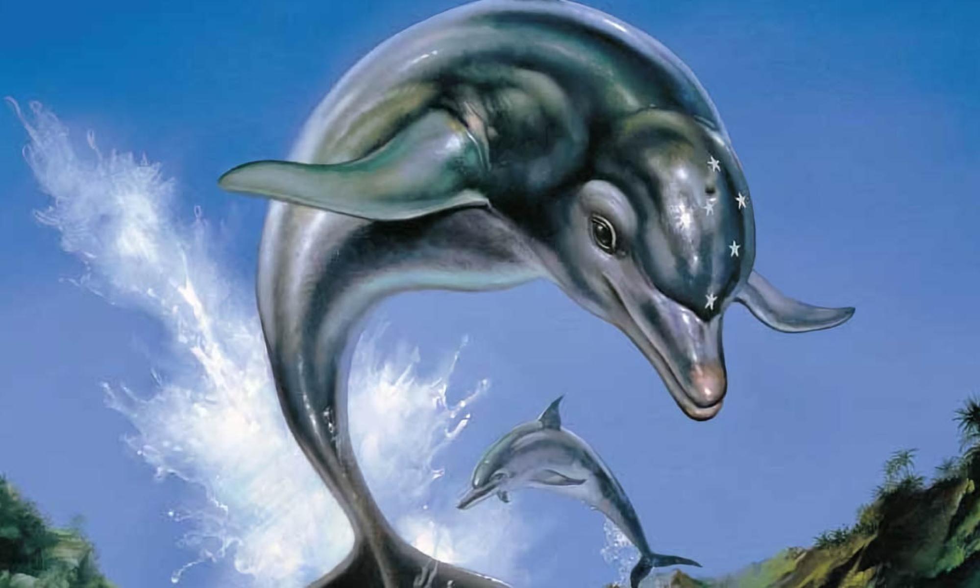 Ecco the Dolphin
