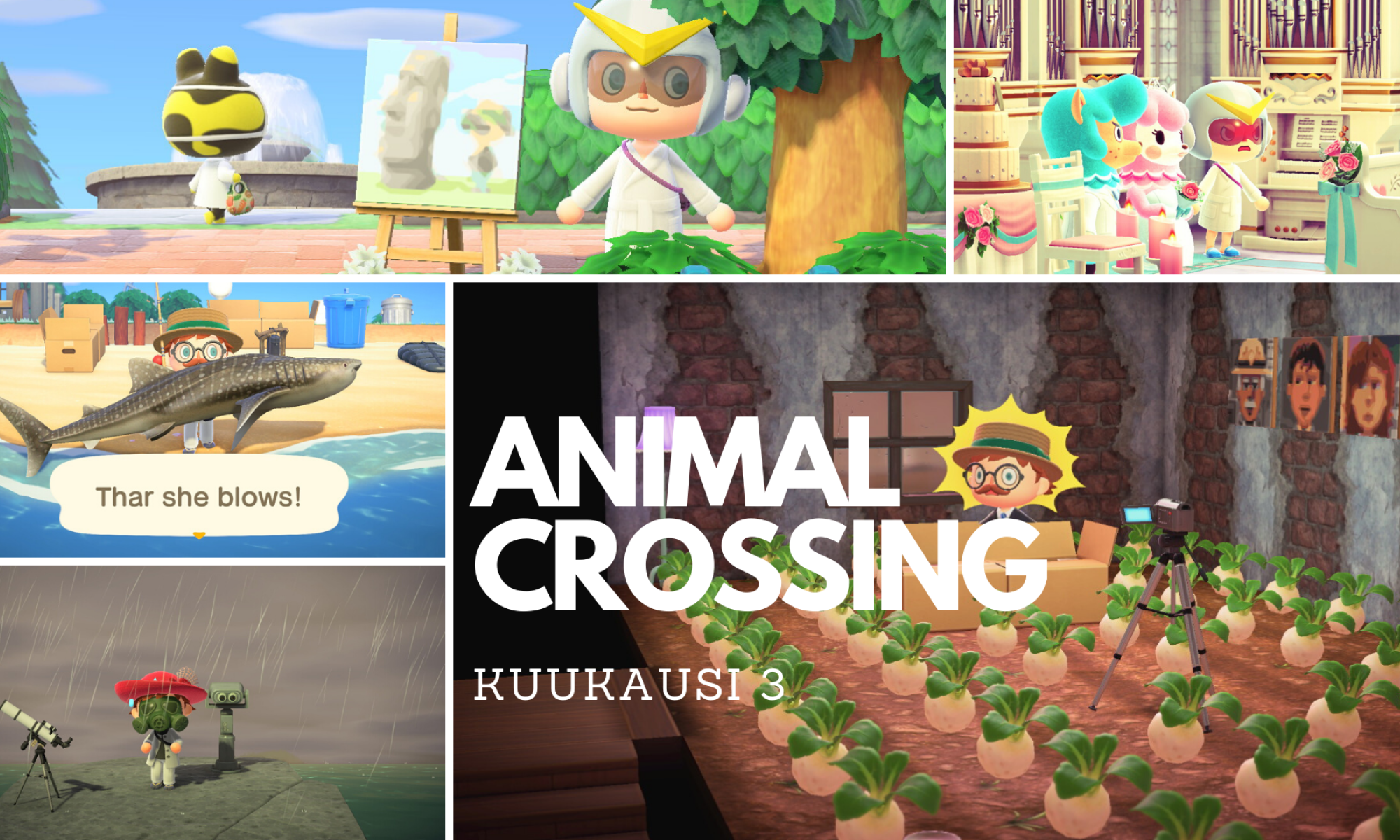 Animal Crossing: New Horizons kolmas kuukausi kuvina