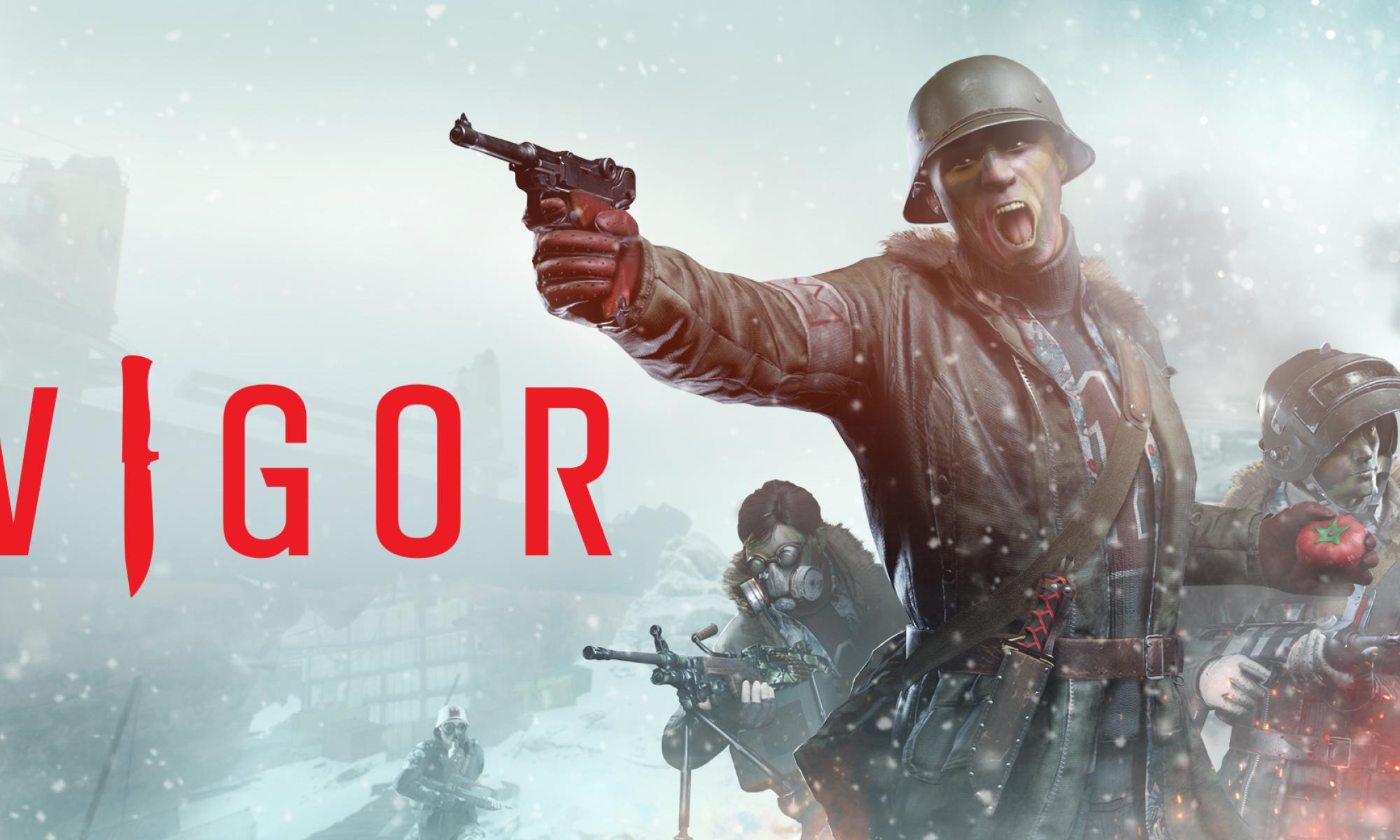 Vigor nosto.jpg