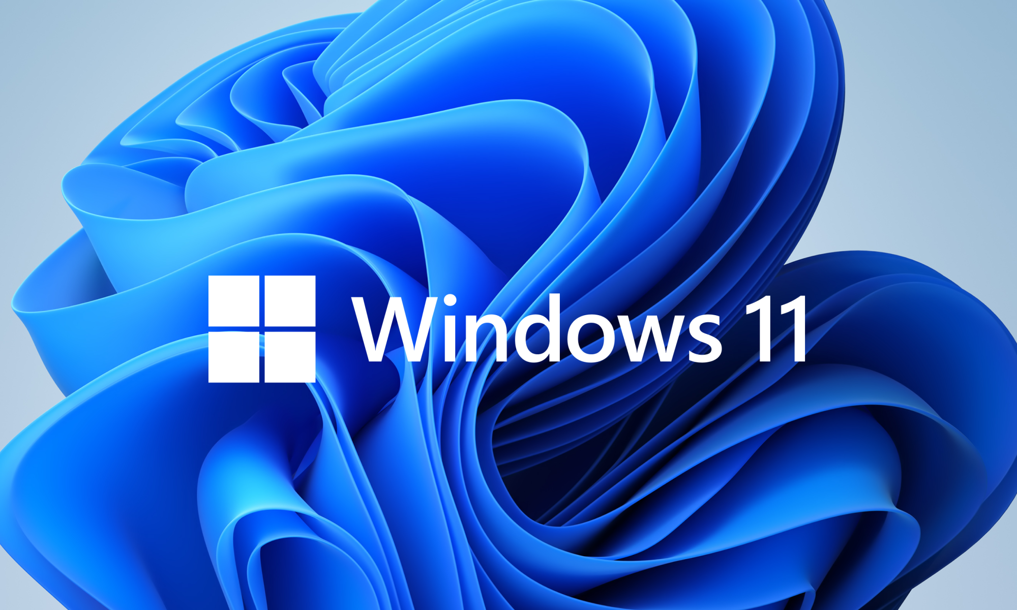 Windows 11 logo