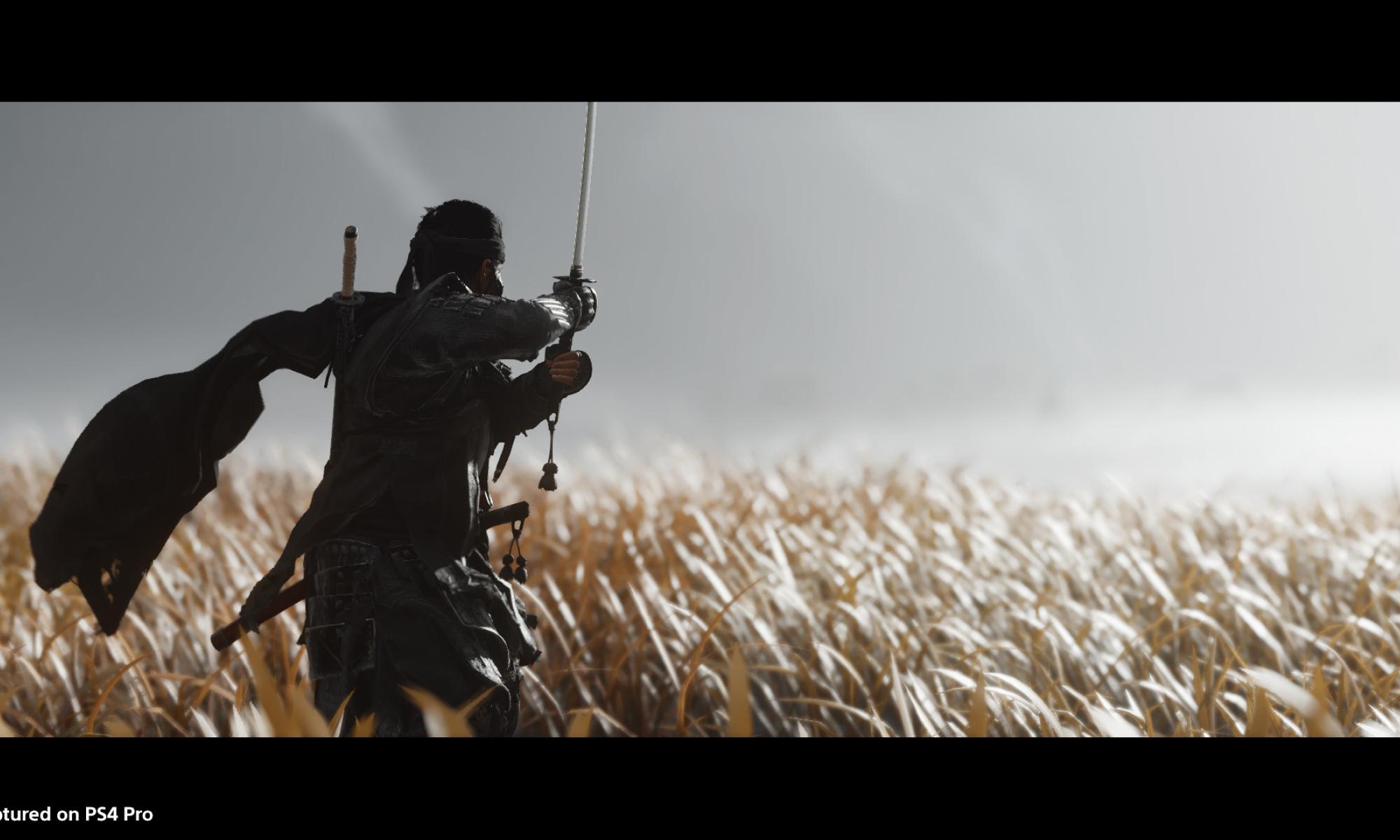 ghostoftsushima.jpg