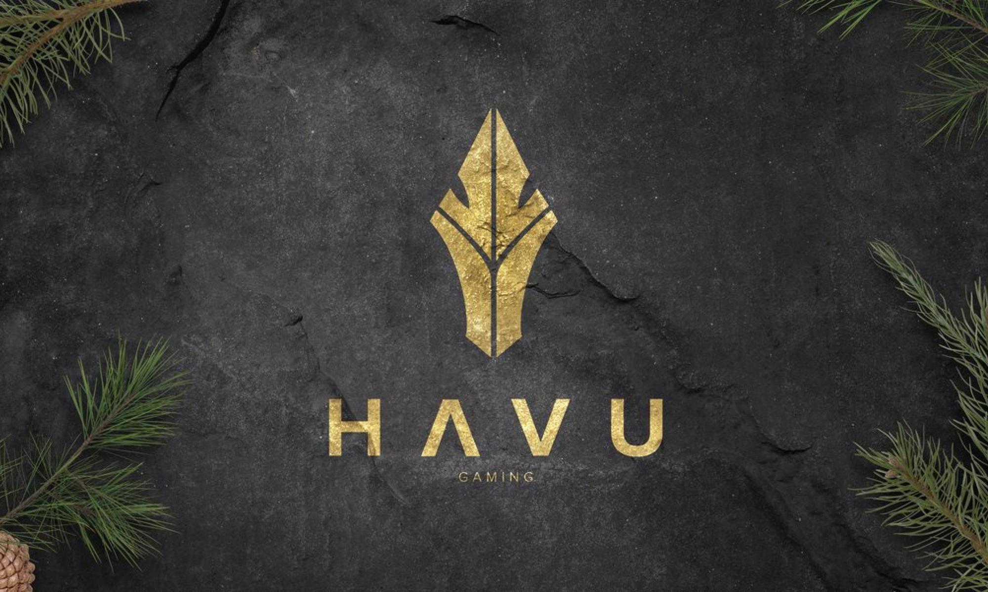 havu gaming.jpeg