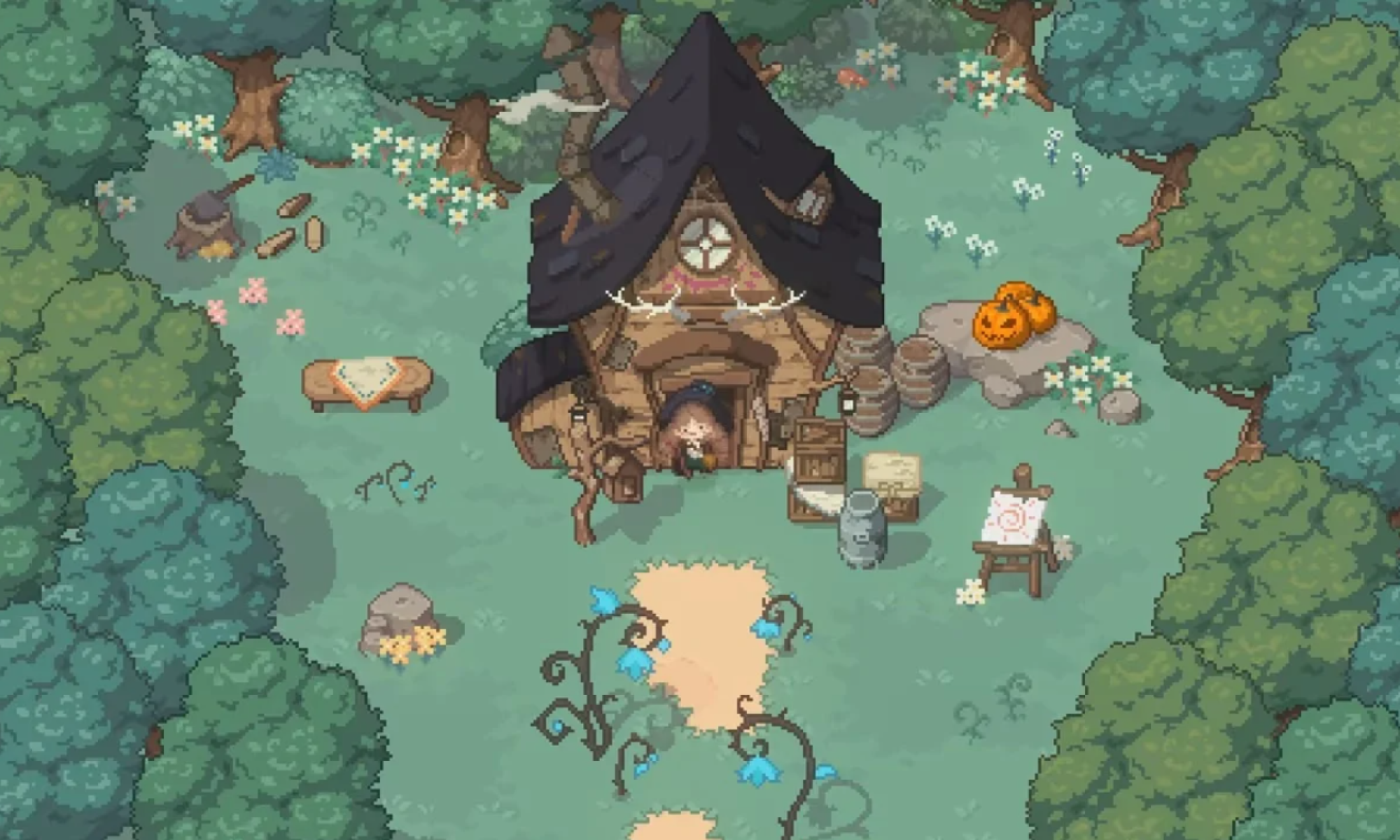 little witch in the woods.png