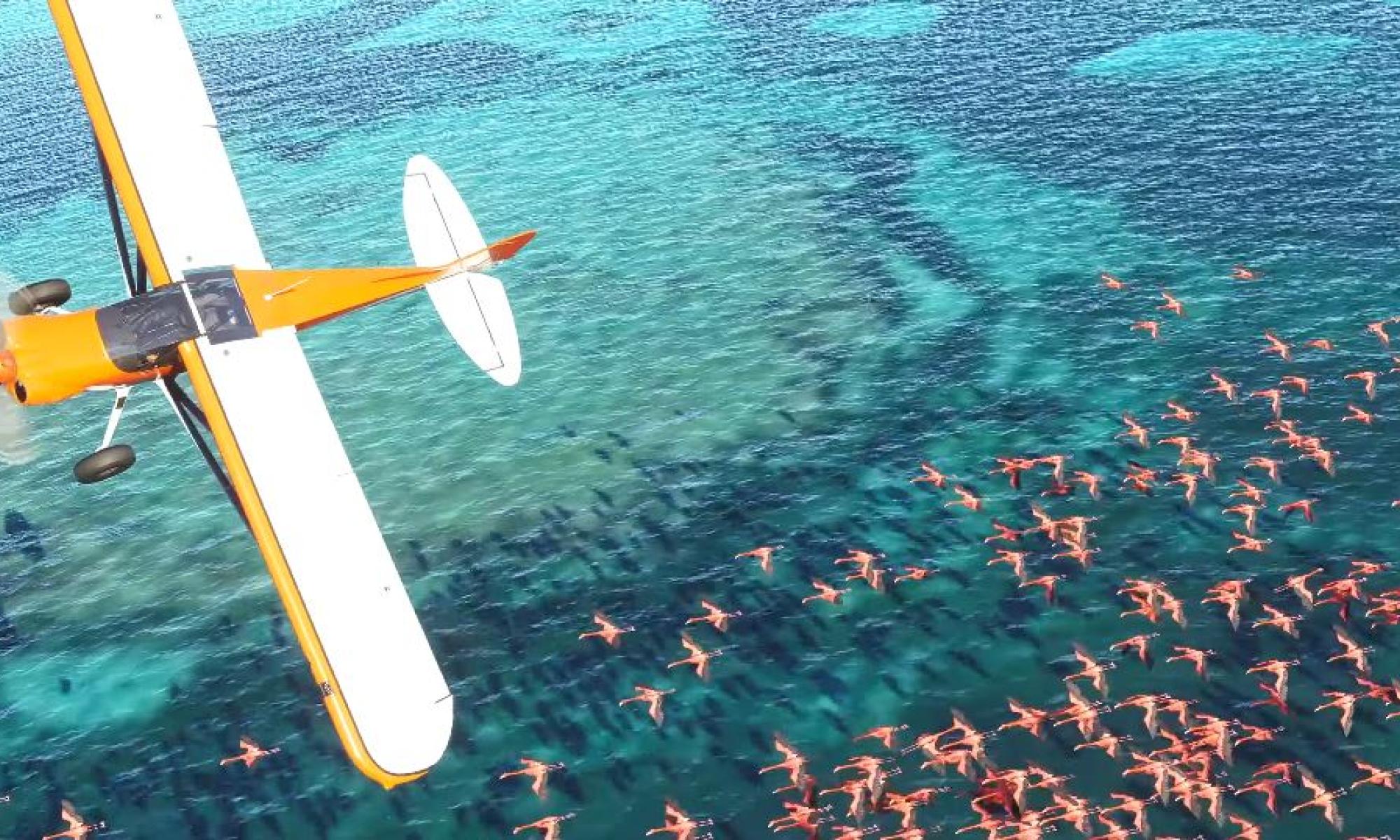 microsoft_flight_simulator.jpg