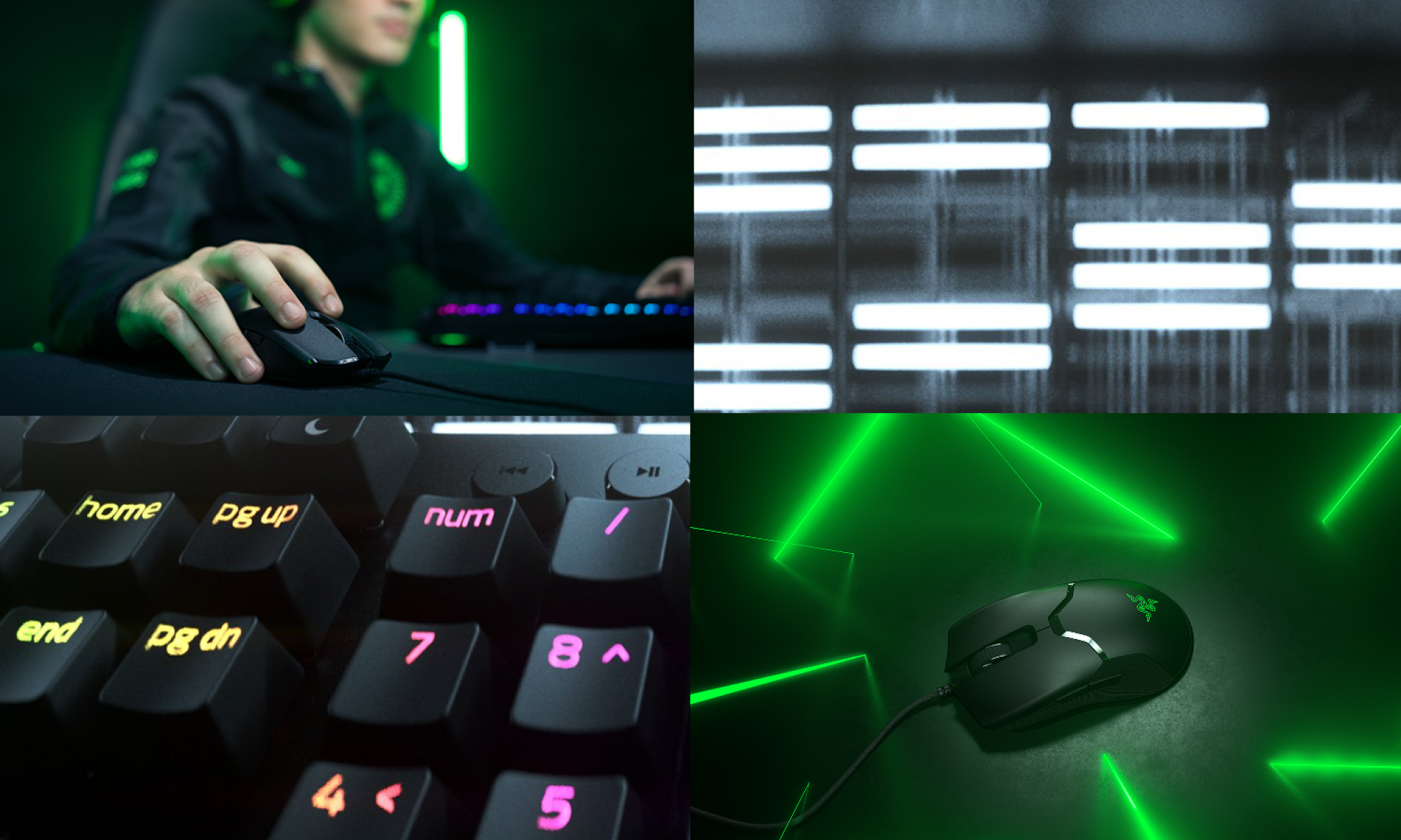 razer nostokuva.png