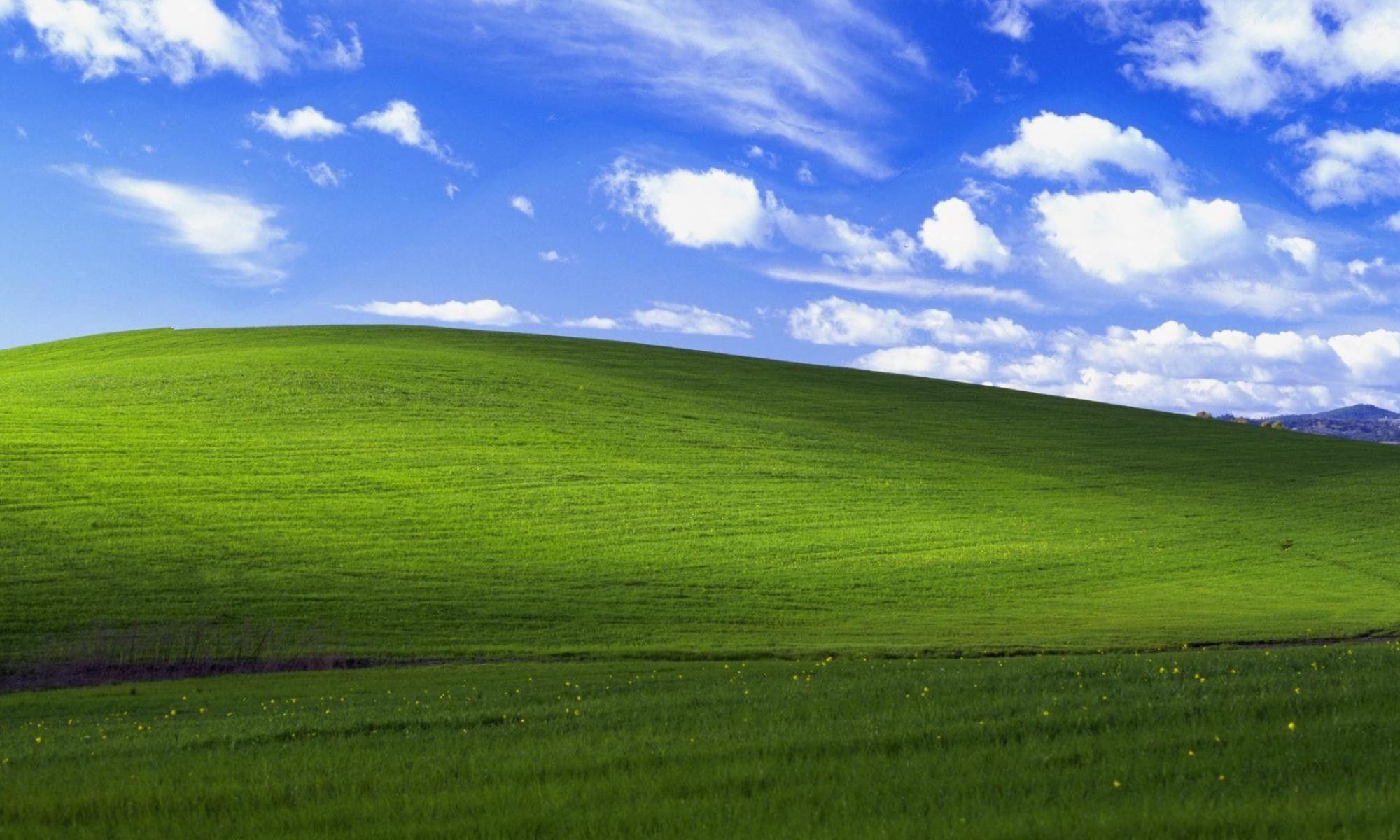 Windows XP Bliss taustakuva