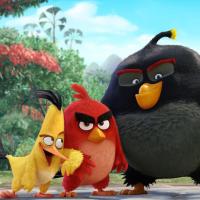 The Angry Birds Movie