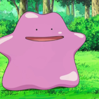 Pokémon Ditto