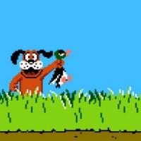 Duck Hunt.jpg