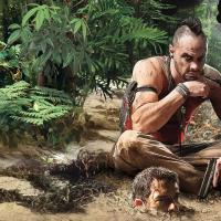 Far Cry 3