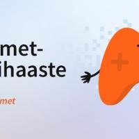 Helmet pelihaaste 2019