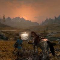Skyrim Switch