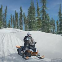 Sledders