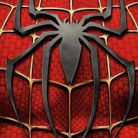 Spider-Man hämähäkki rinnassa