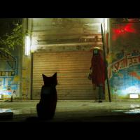 Stray_paljon vartija