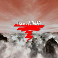 Team Ninja logo