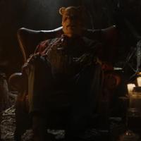 Winnie the Pooh Blood and Honey