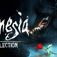 Amnesia Collection: Kansi